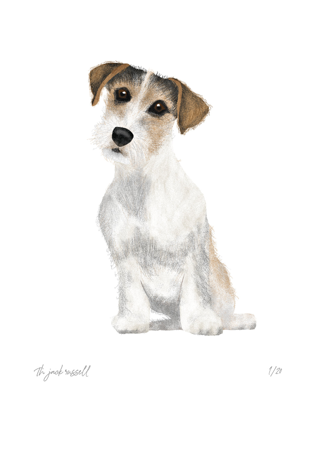 The jack russell
