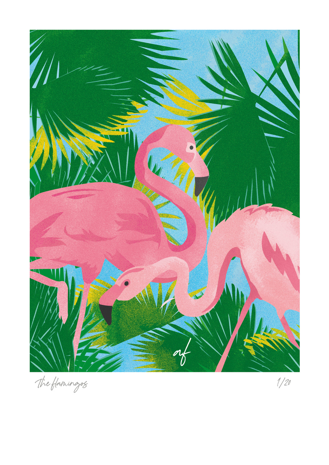 Feathered Friends: The Flamingos
