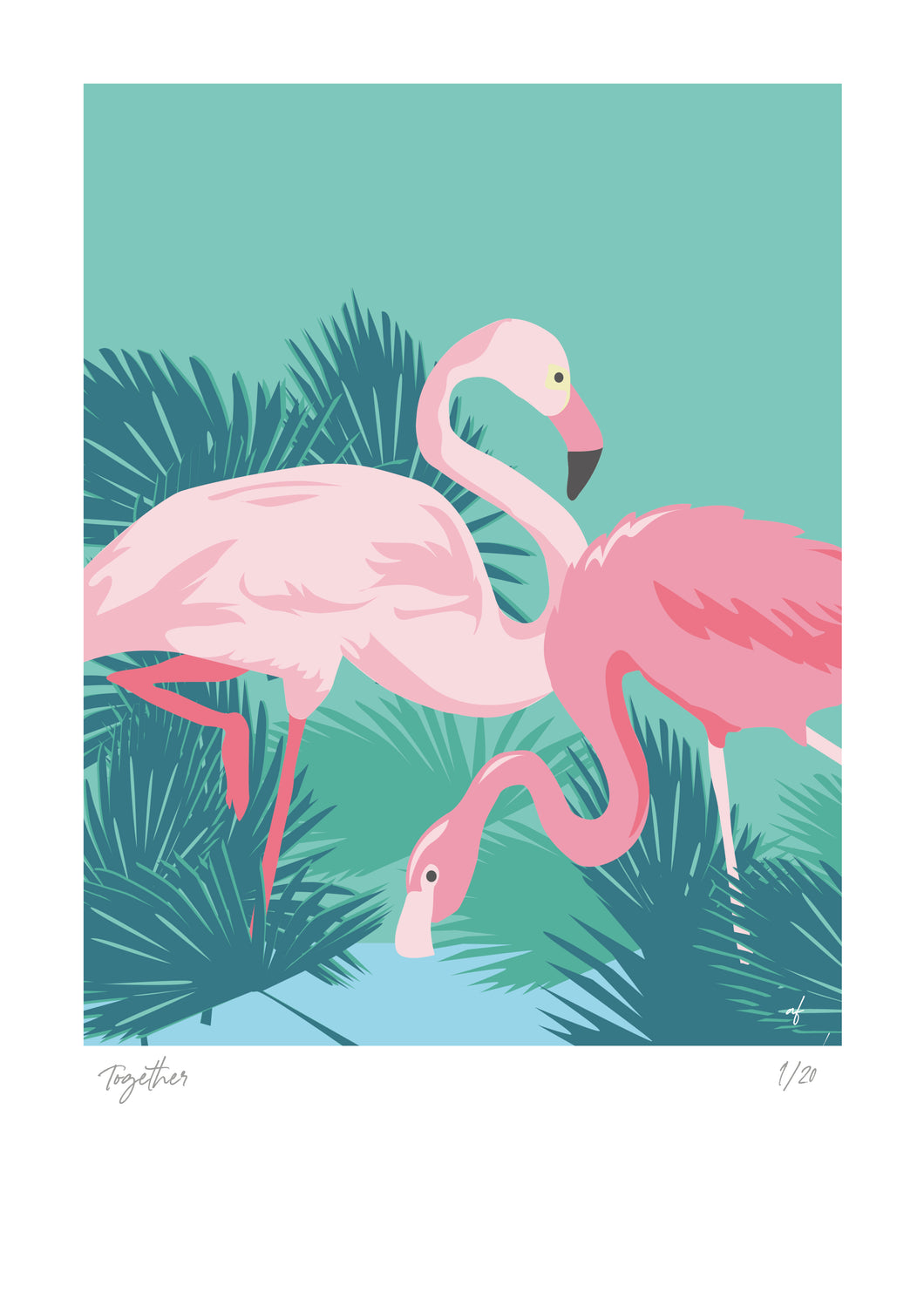 Feathered Friends: The flamingos