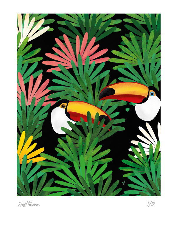 Feathered Friends: Toucan