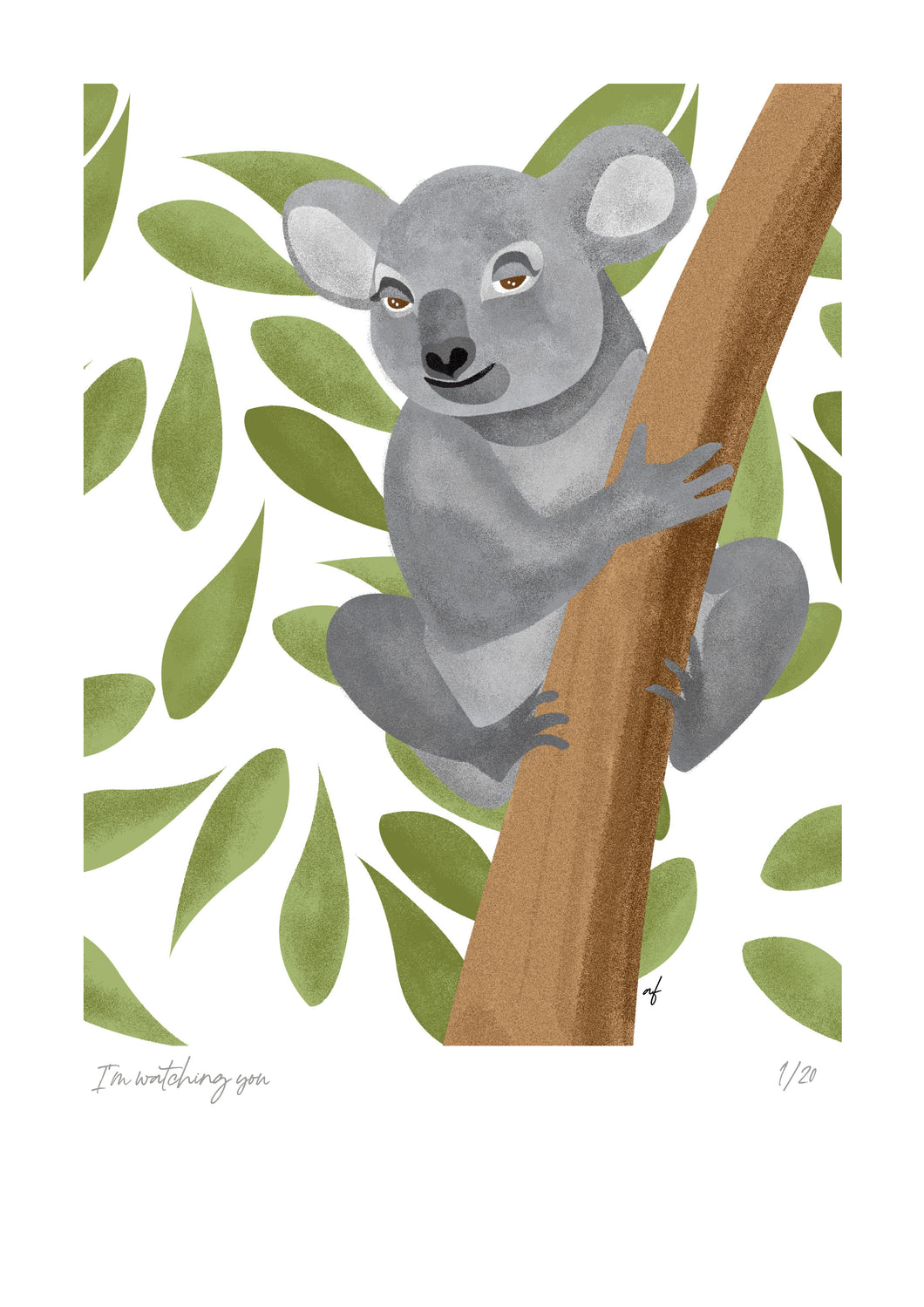 The Koala (watching you)
