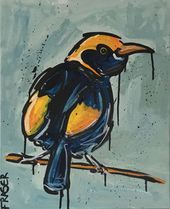 Birds of a Feather: The Bowerbird