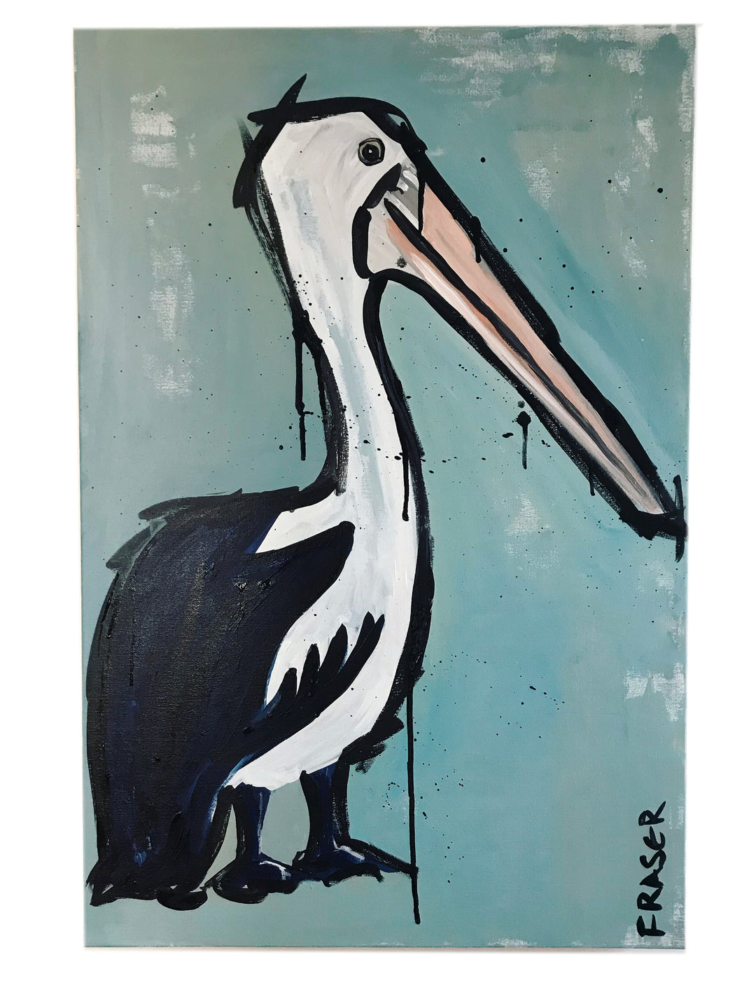 Birds of a Feather: The Pelican